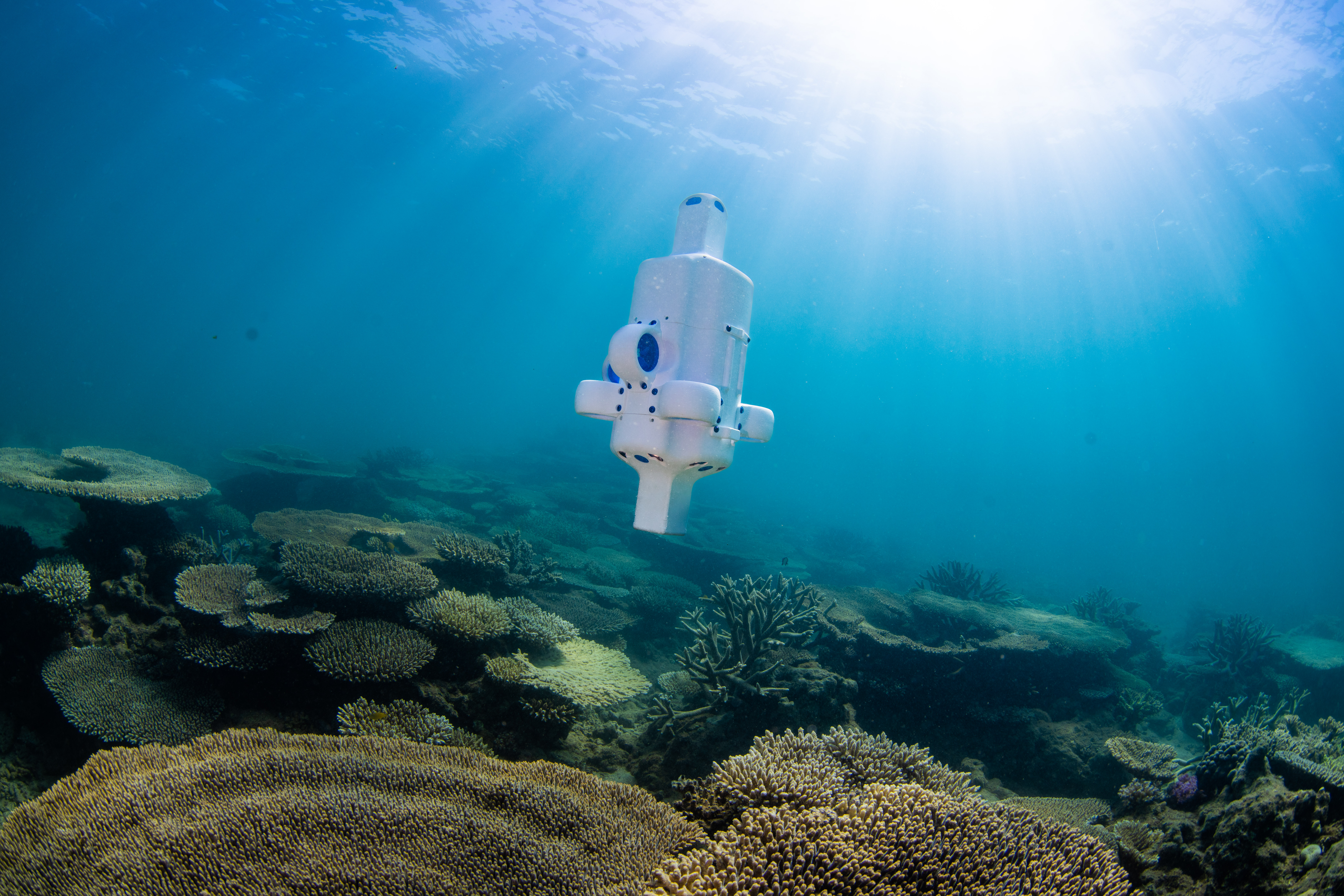 Advanced Navigation Hydrus micro AUV mapping coral in Exmouth Australia